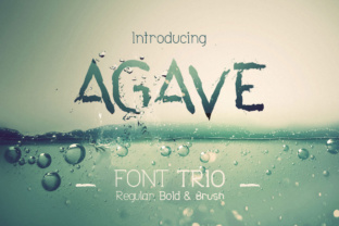 Mastering Visual Harmony: The Agave Font Trio